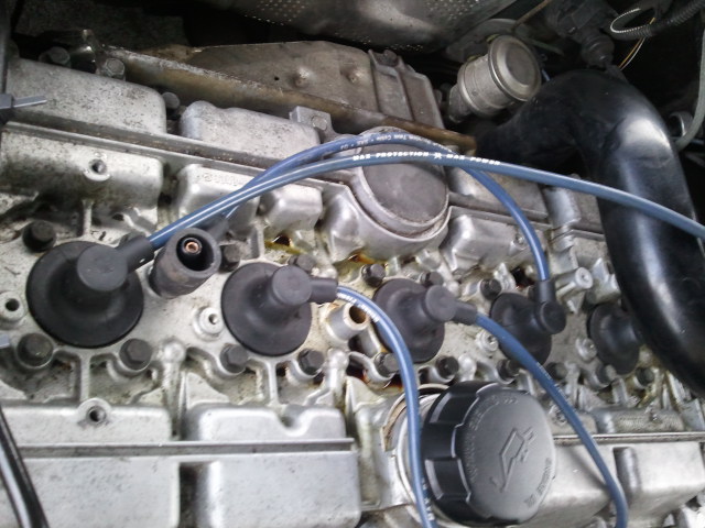 2011-08-31 18.02.27.jpg