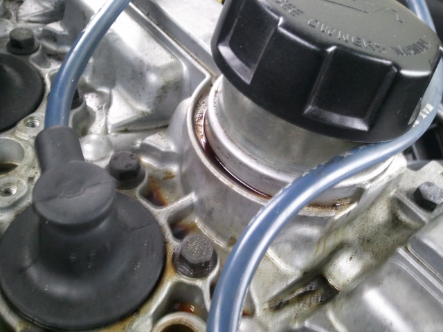 2011-08-31 18.02.38.jpg