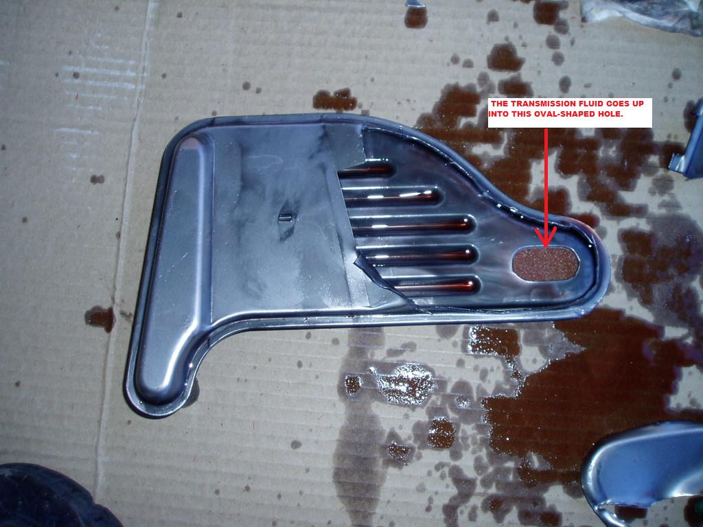 Filter With Bottom Deflector Plate Removed.jpg