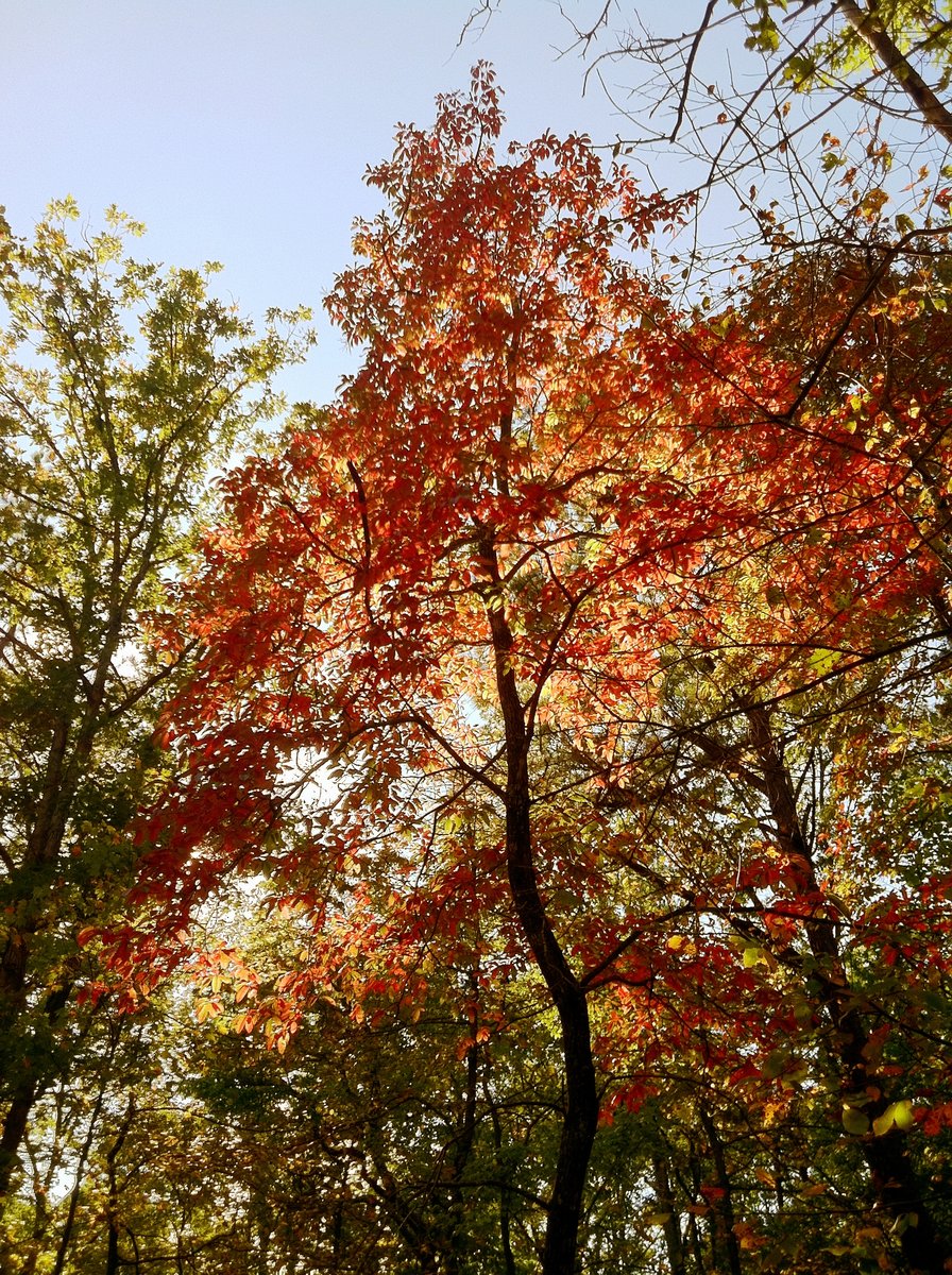 Photo Sep 24, 11 15 25 PM.jpg