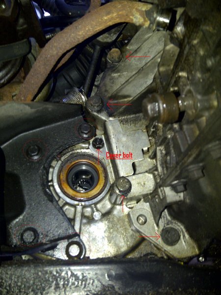 Rear engine mounts are circled.  Click on picture for a better view.