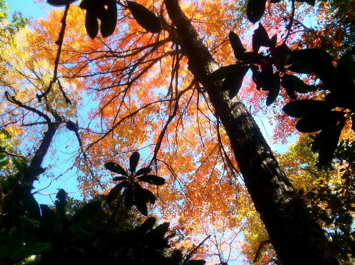 Photo Oct 10, 2 33 51 AM.jpg