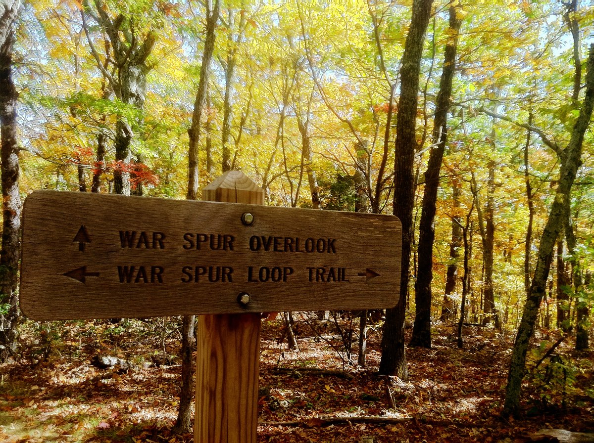 Photo Oct 10, 2 22 00 AM.jpg