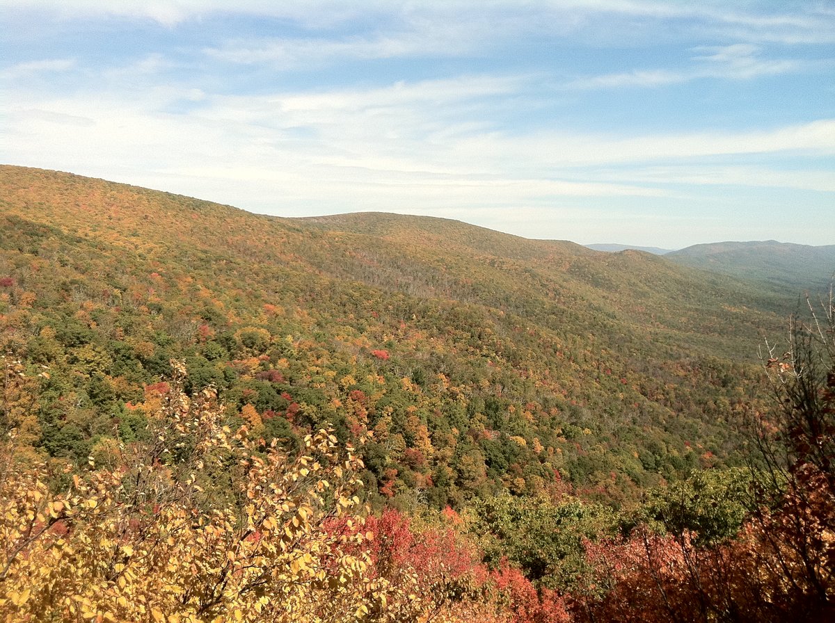 Photo Oct 09, 12 49 50 PM.jpg