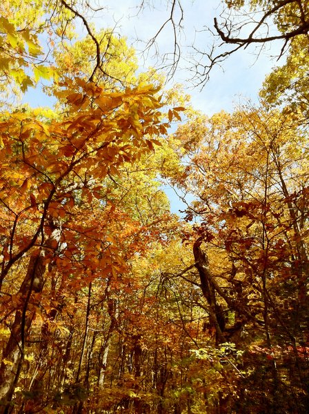 Photo Oct 10, 2 43 58 AM.jpg