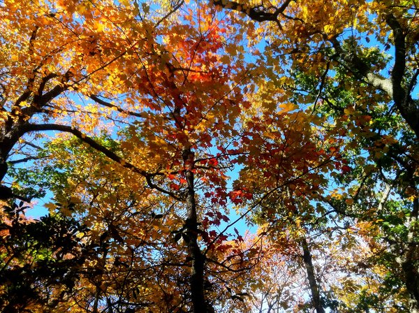 Photo Oct 10, 2 34 22 AM.jpg