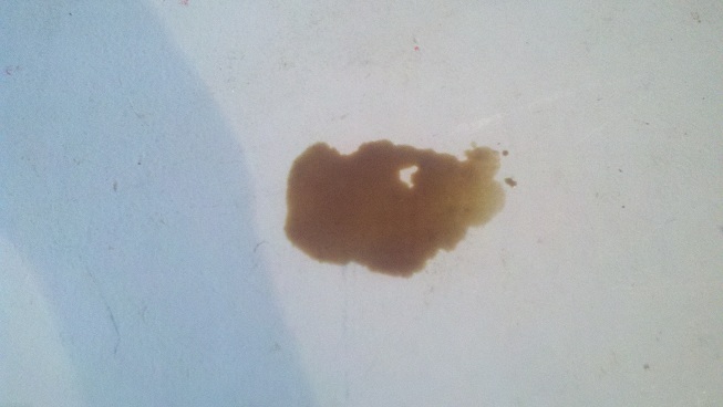 oil_leak_4.jpg