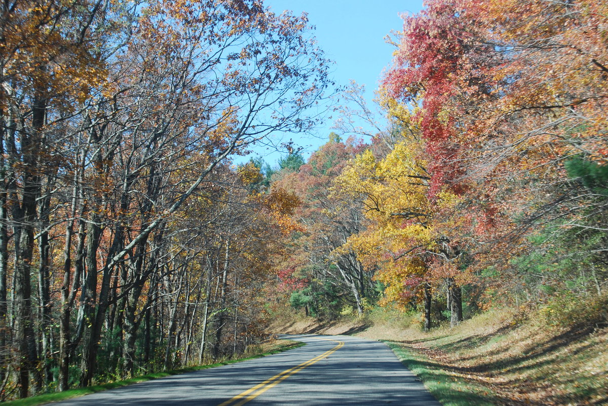 Part of the Blue Ridge Parkway