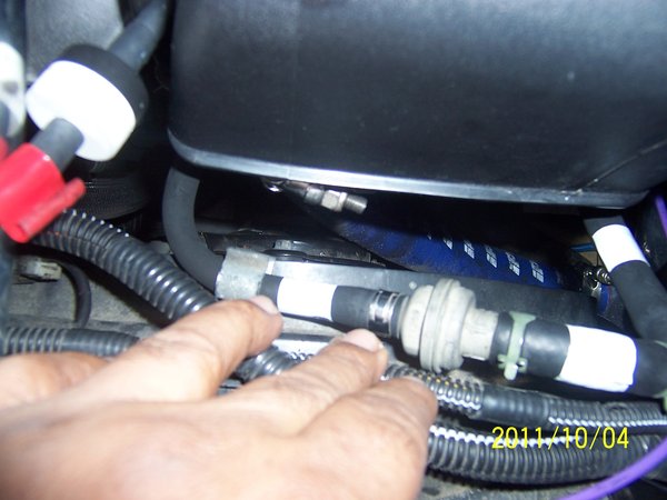 T-shape connector w/hoses