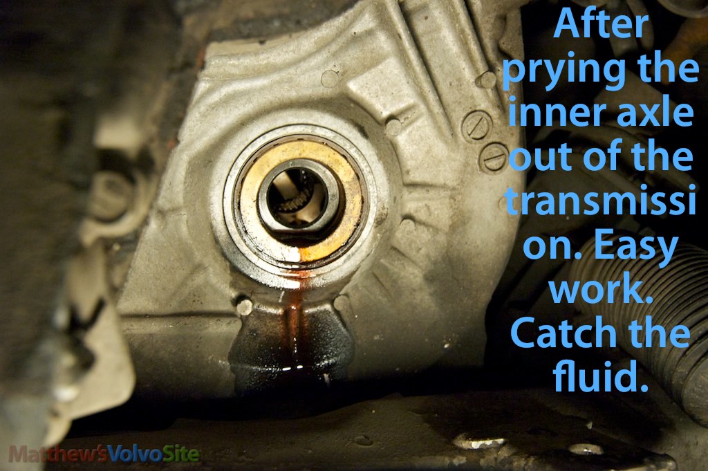 Transmission seal and inner workings.