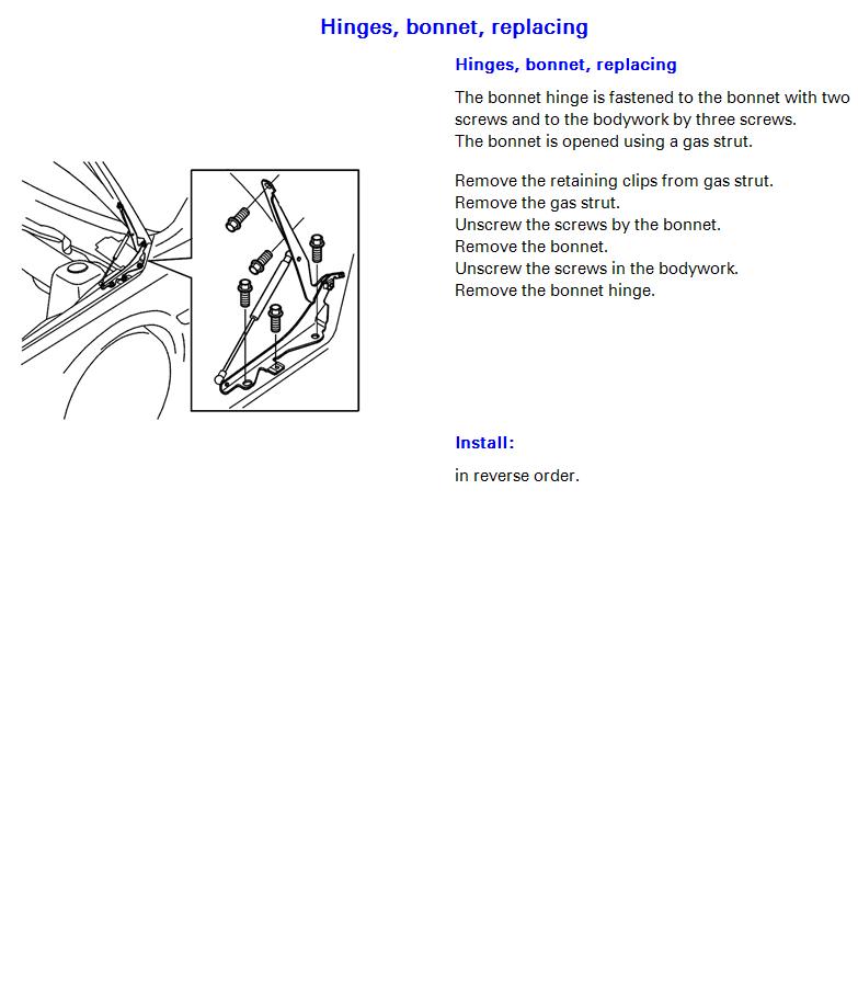 Vadis Hood Strut.JPG