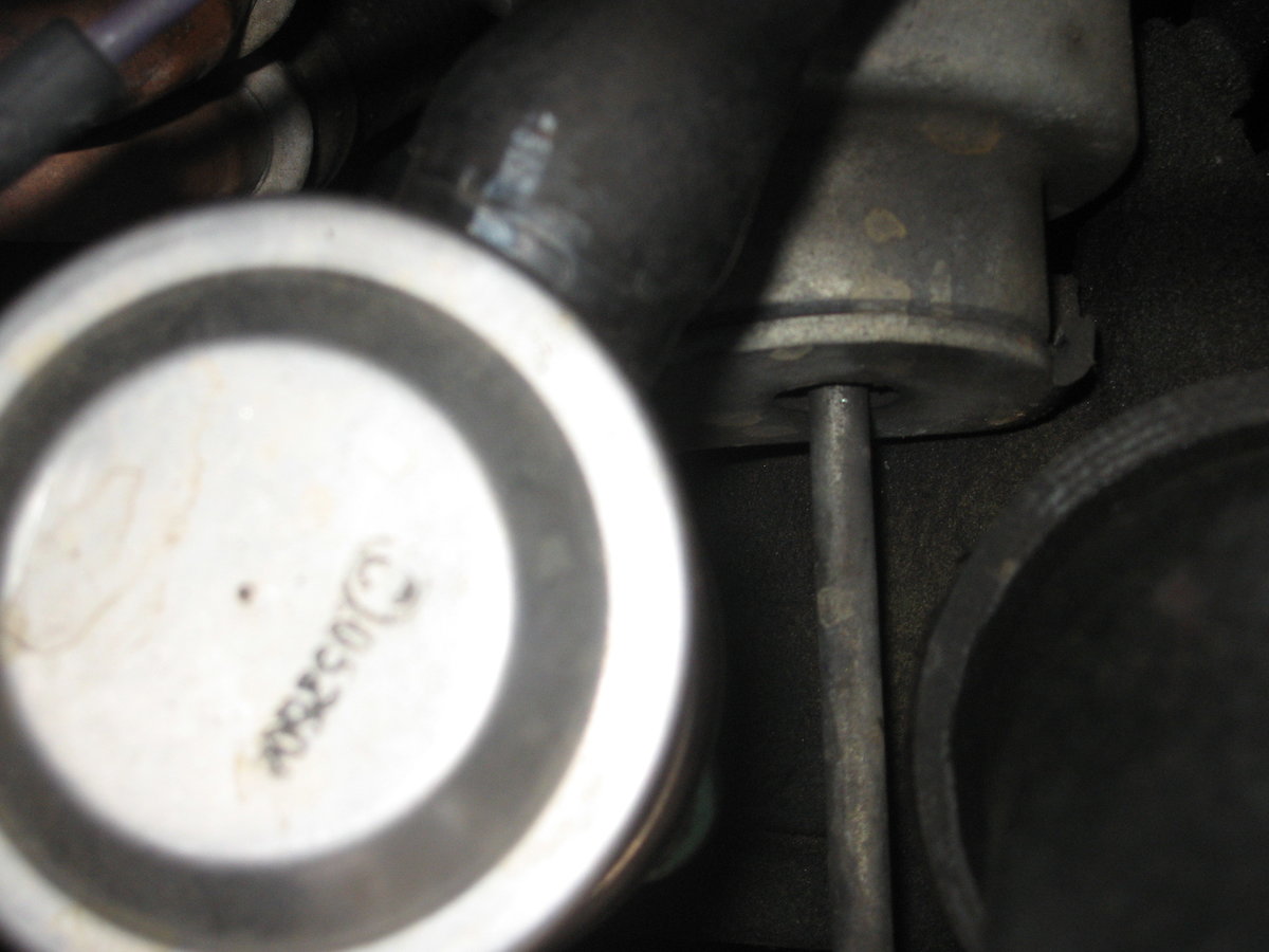 Turbo clamp is in the depths of that mess.  Get a flashlight and look around - it's hard to spot.