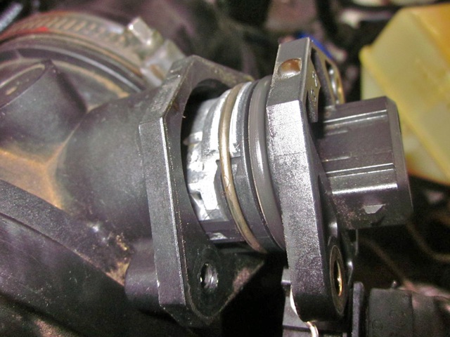 MAF sensor after wiggling and prying loose.