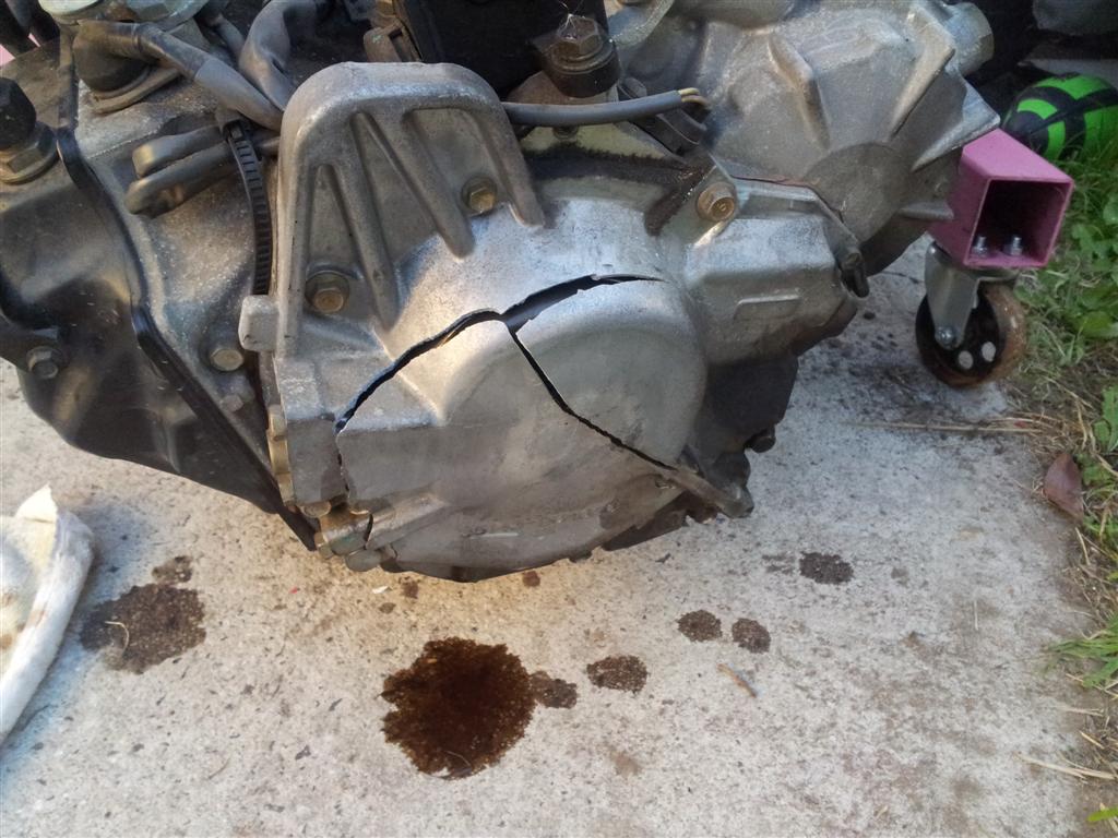 20120325_183502 (Large).jpg