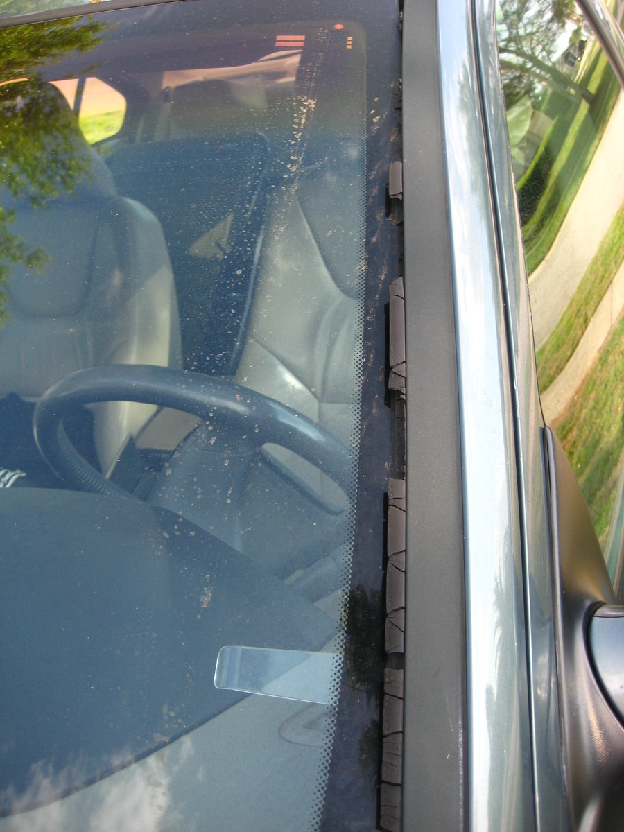 View of part of front seat. Is this a sport seat?