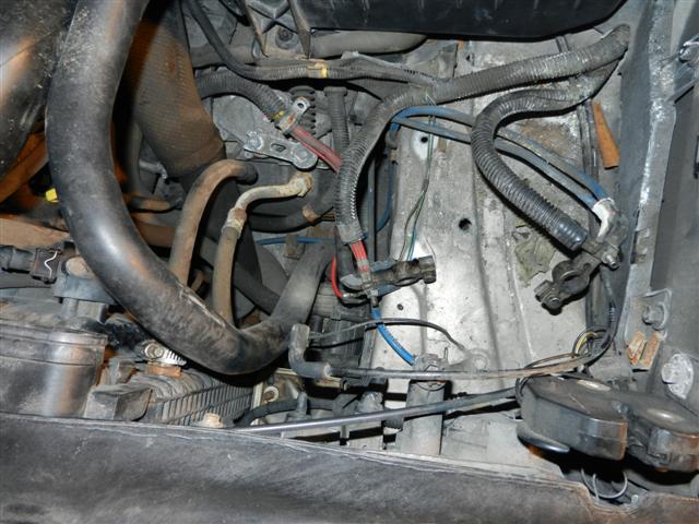 DSCN4381 (Small).JPG