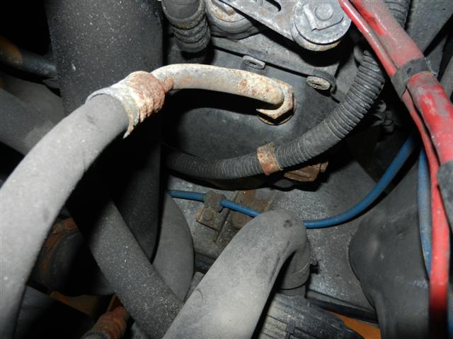 DSCN4382 (Small).JPG