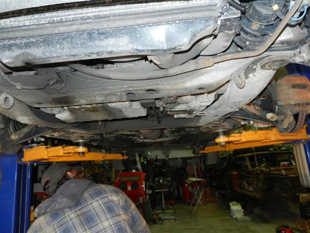 DSCN4384 (Small).JPG