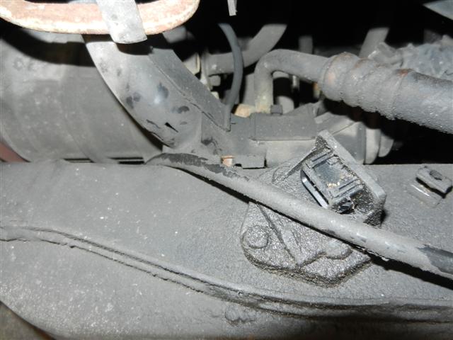 DSCN4387 (Small).JPG