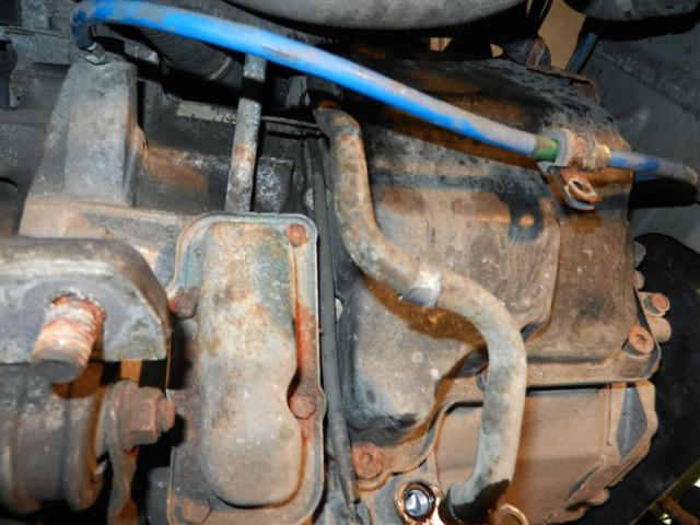 DSCN4389 (Small).JPG