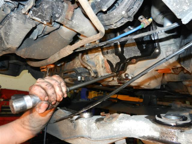 DSCN4390 (Small).JPG