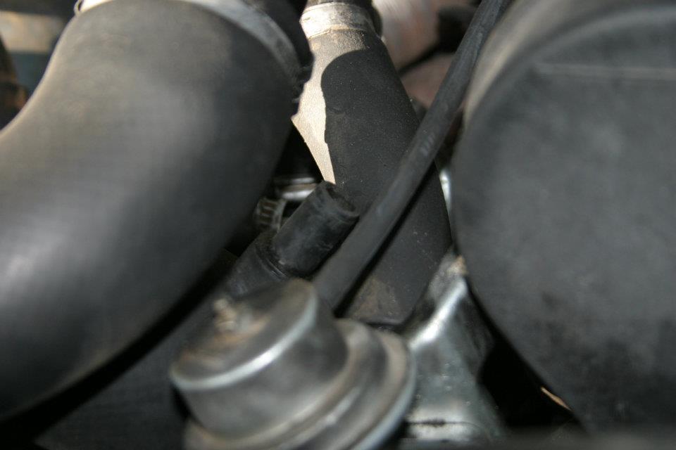 MISSING HOSE ALL TOGETHER.jpg