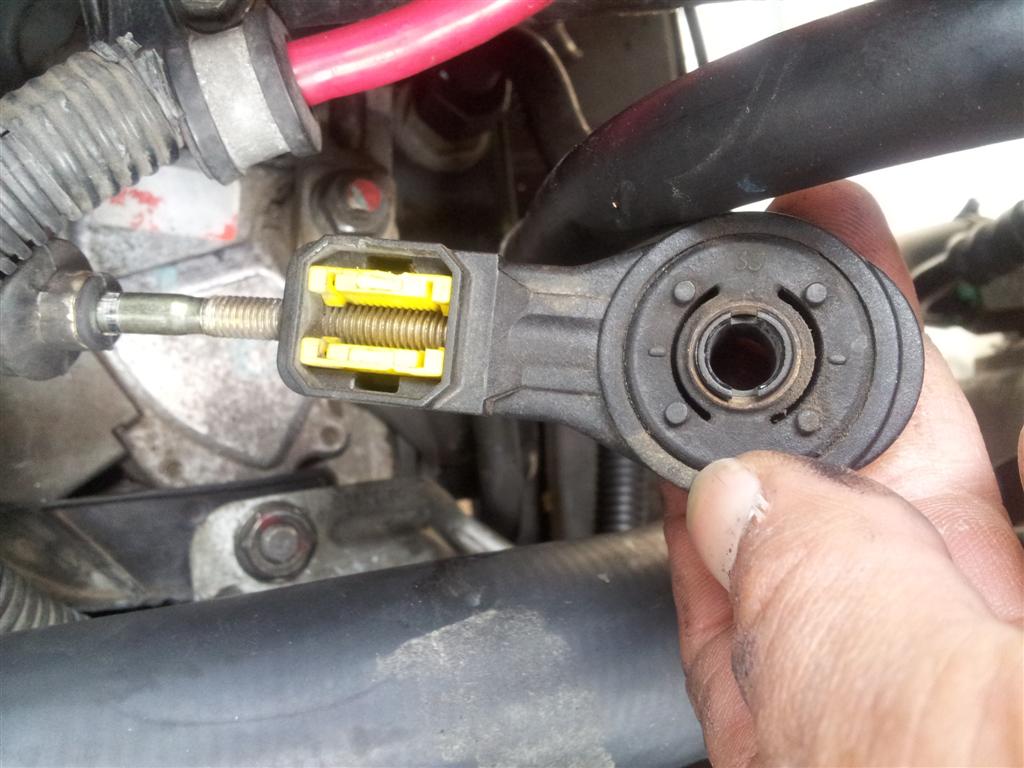 20120501_134334 (Large).jpg