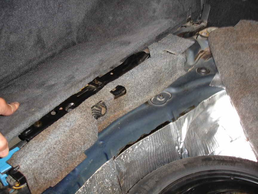 Fig 10 carpet_strip.JPG