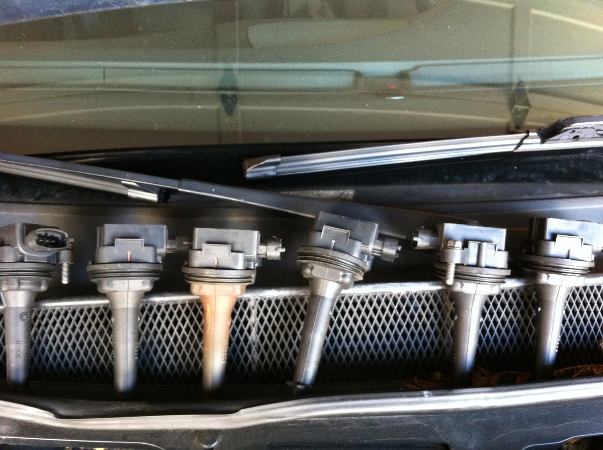 My lovely coils (I really hope they're working okay because they are very expensive) :)