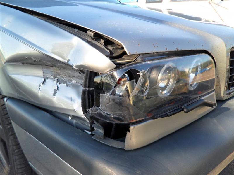 SAM_0233 (Medium).jpg