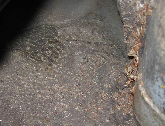 7) Camouflaged 10mm bolt on passenger's side.jpg