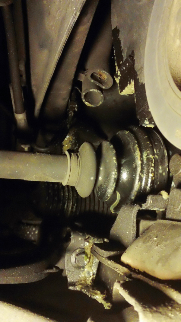 passenger side front wheel