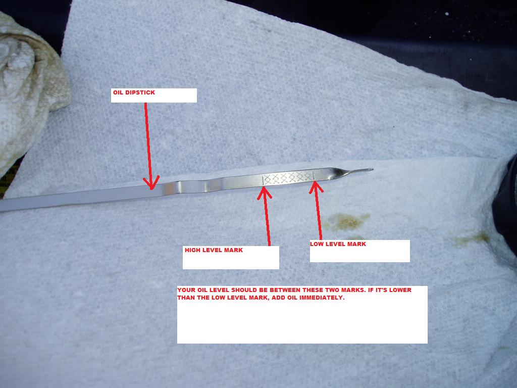 Oil Dipstick Level Marks.jpg