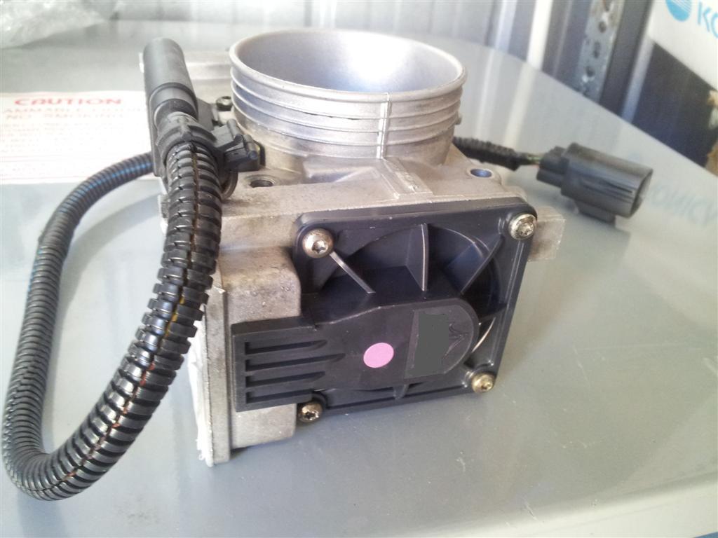 20120415_092412 (Large).jpg