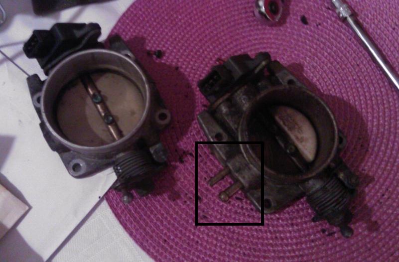 Throttle body.JPG