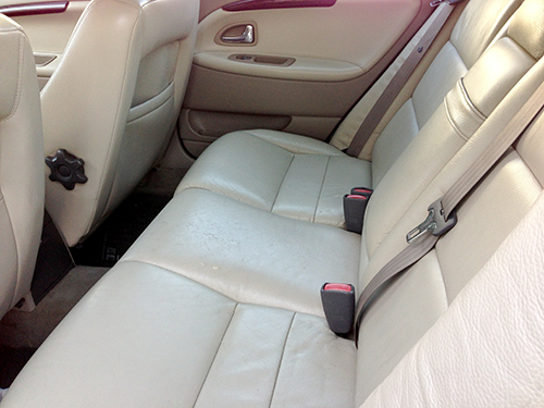 backseat2.jpg