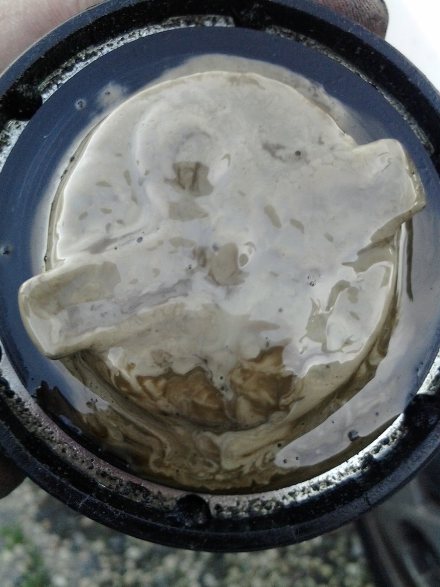 Surprise under oil cap