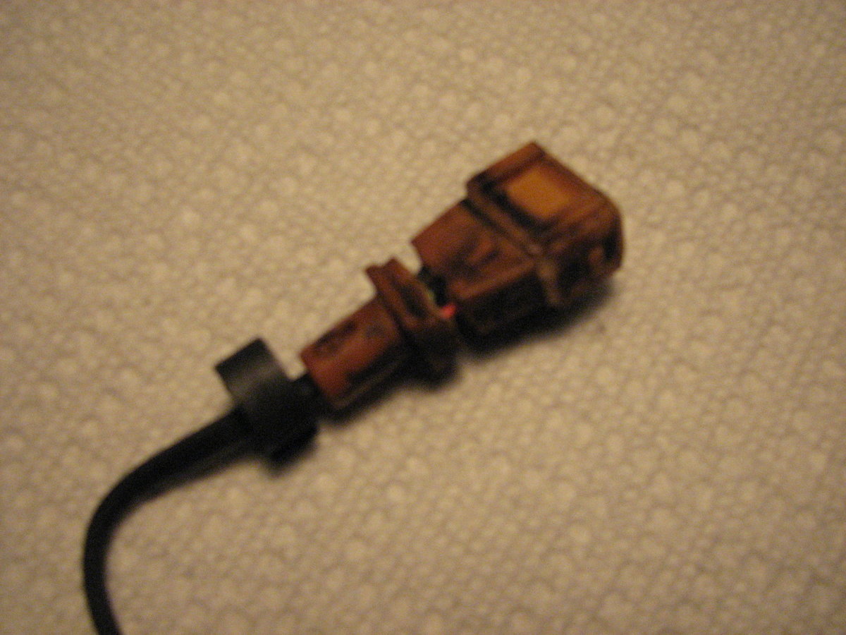 I am sure this did not like water much.