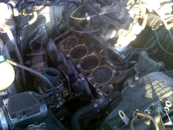 Middle of transplant