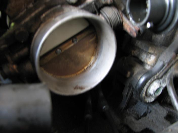 throttle installed.jpg