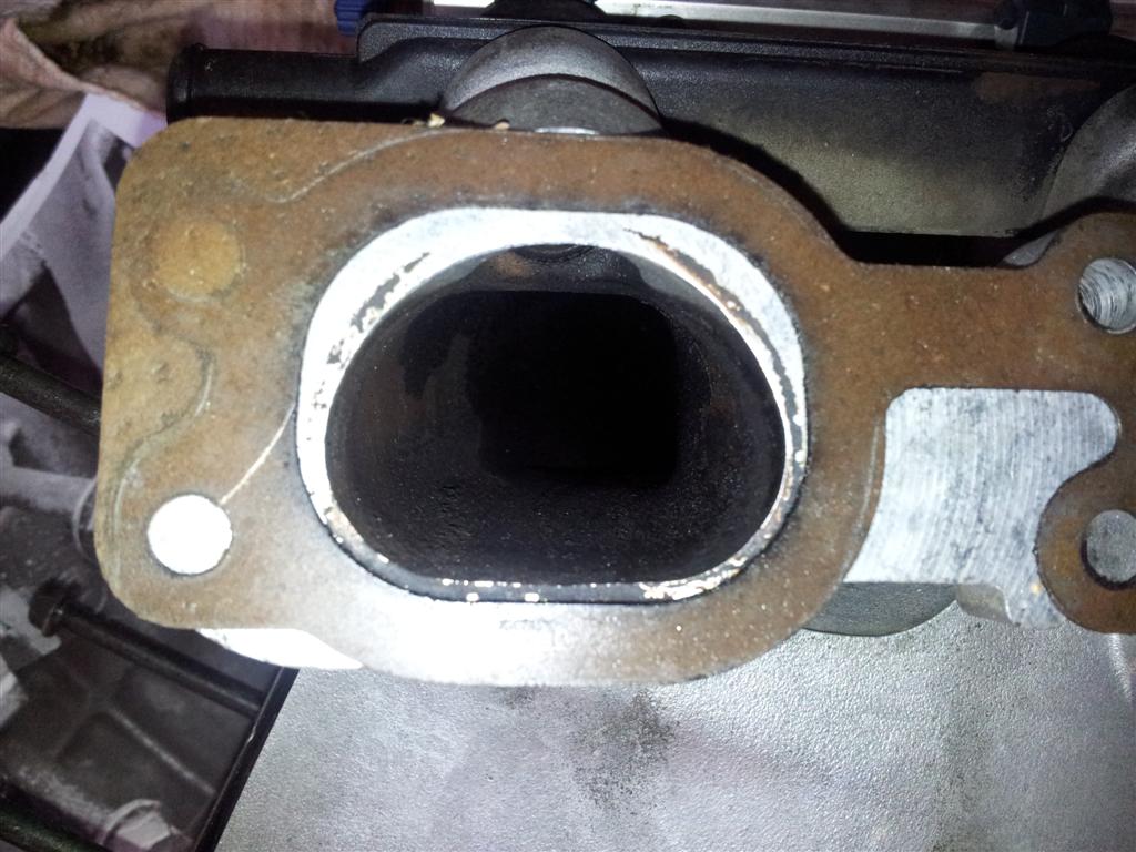 2012-02-04 13.32.48 (Large).jpg