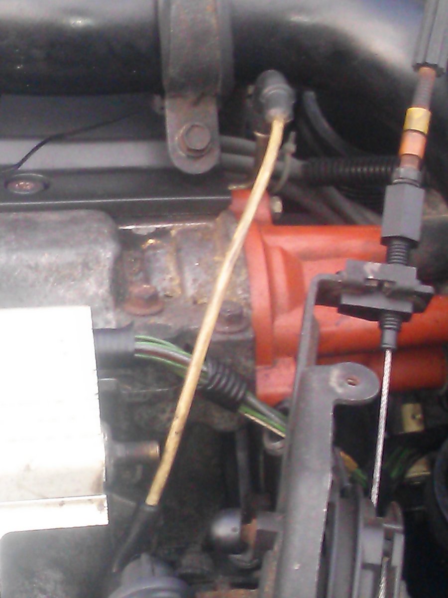 This one runs to the tree