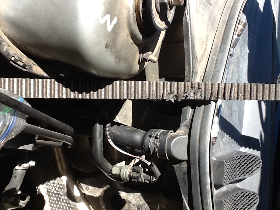 timing belt damage...