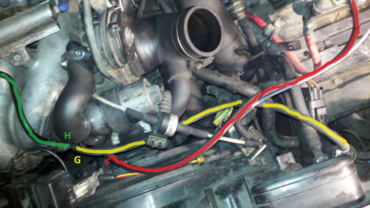 Intake Manifold Hoses