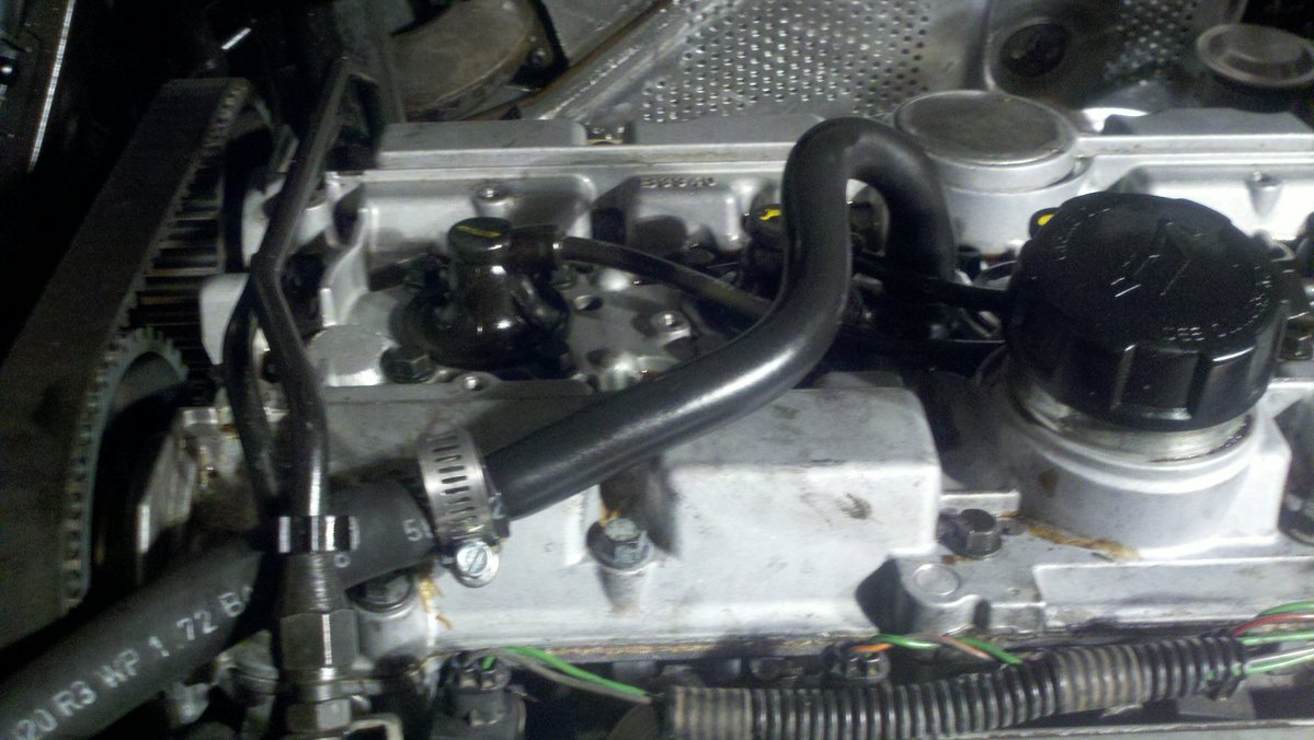 old trap hose that is now connected to cam cover