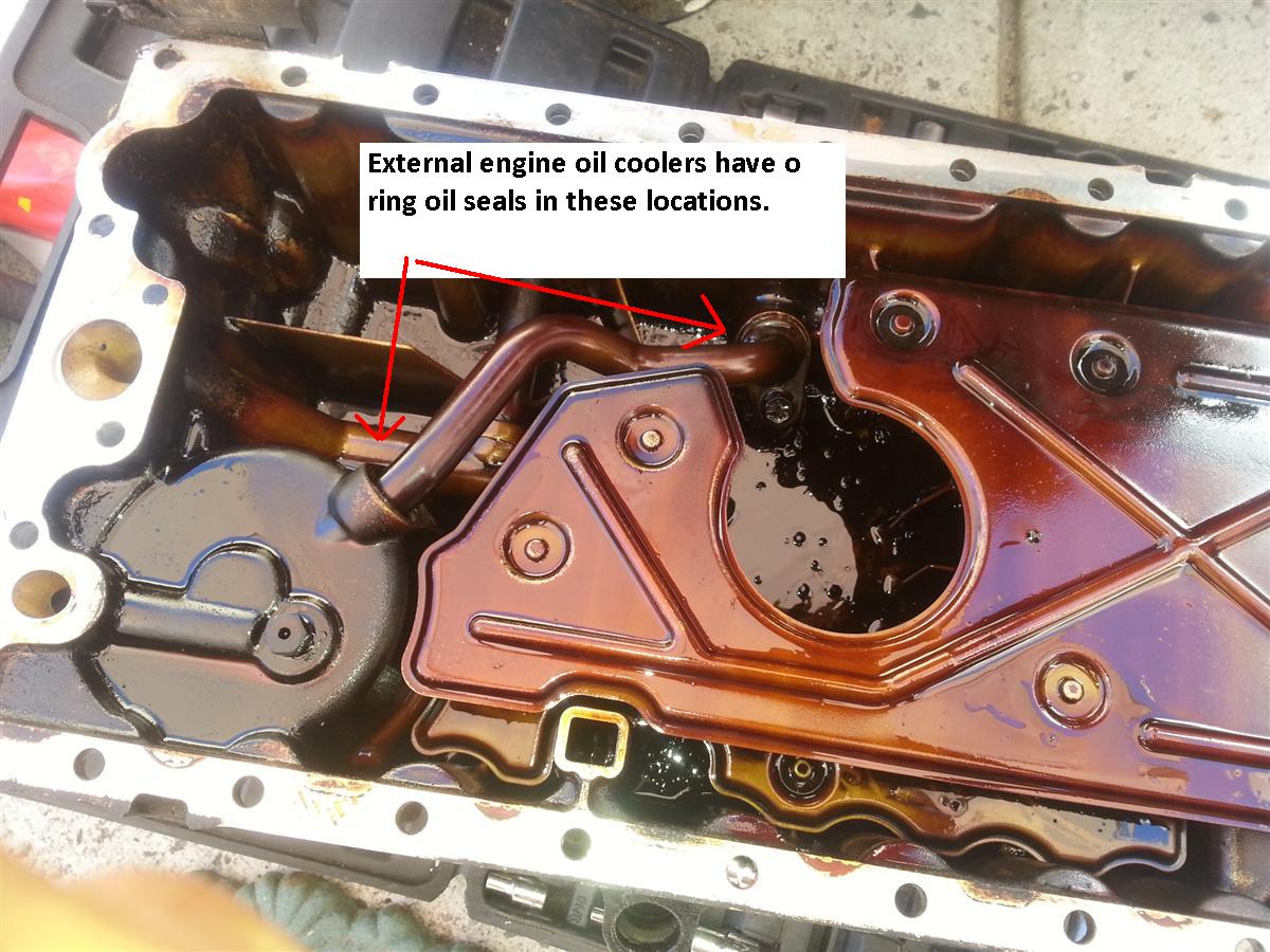 Extra oil seal positions on models with external oil coolers.