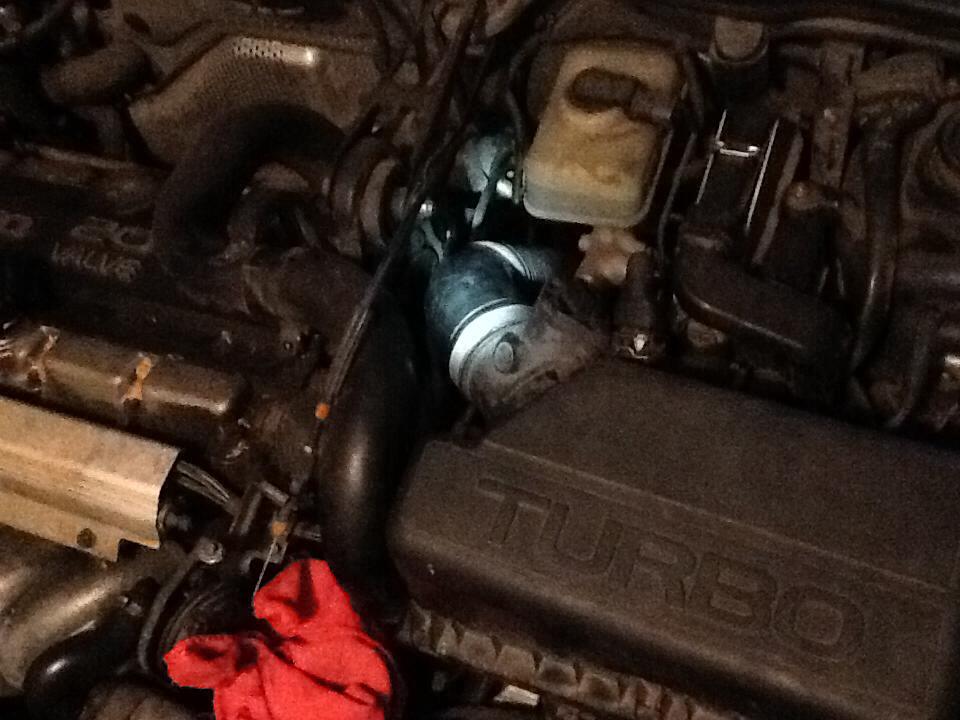 Hose at back of cleaner