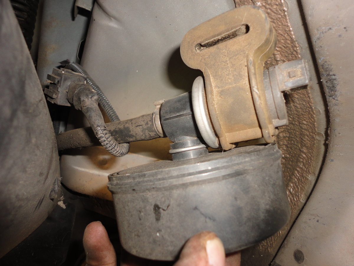 Old rotten hose with original clamp.