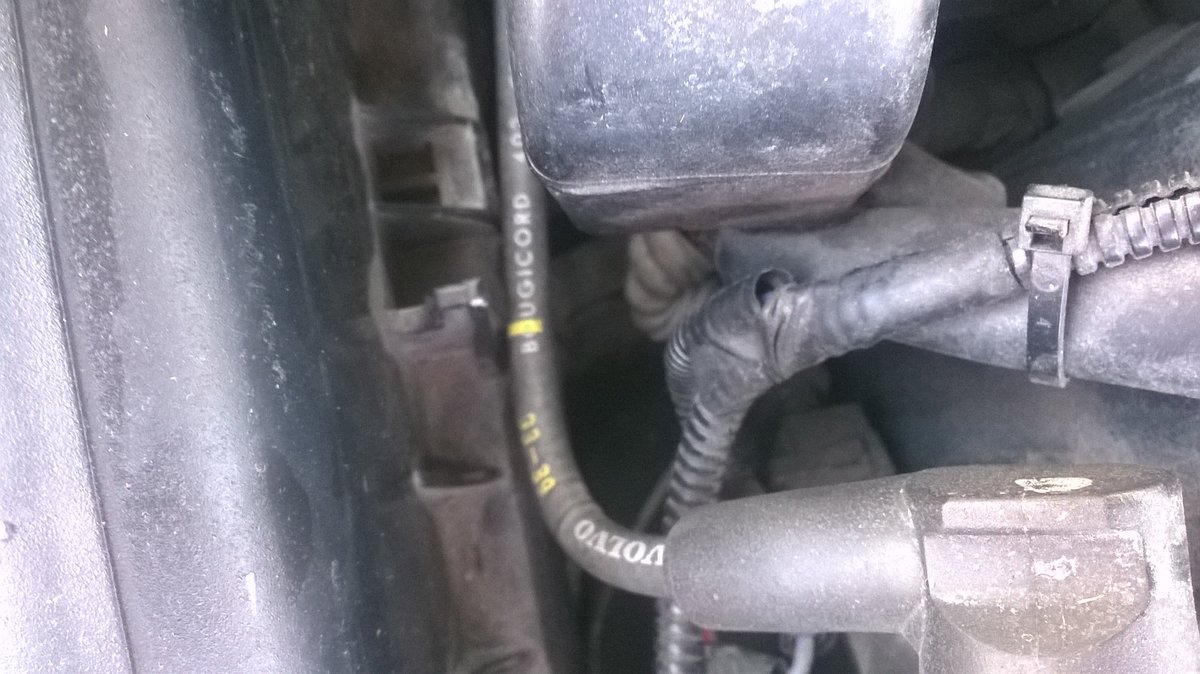 where plug comes from