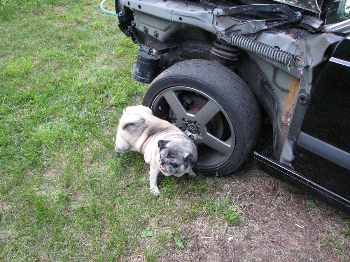 Everyone's a critic.